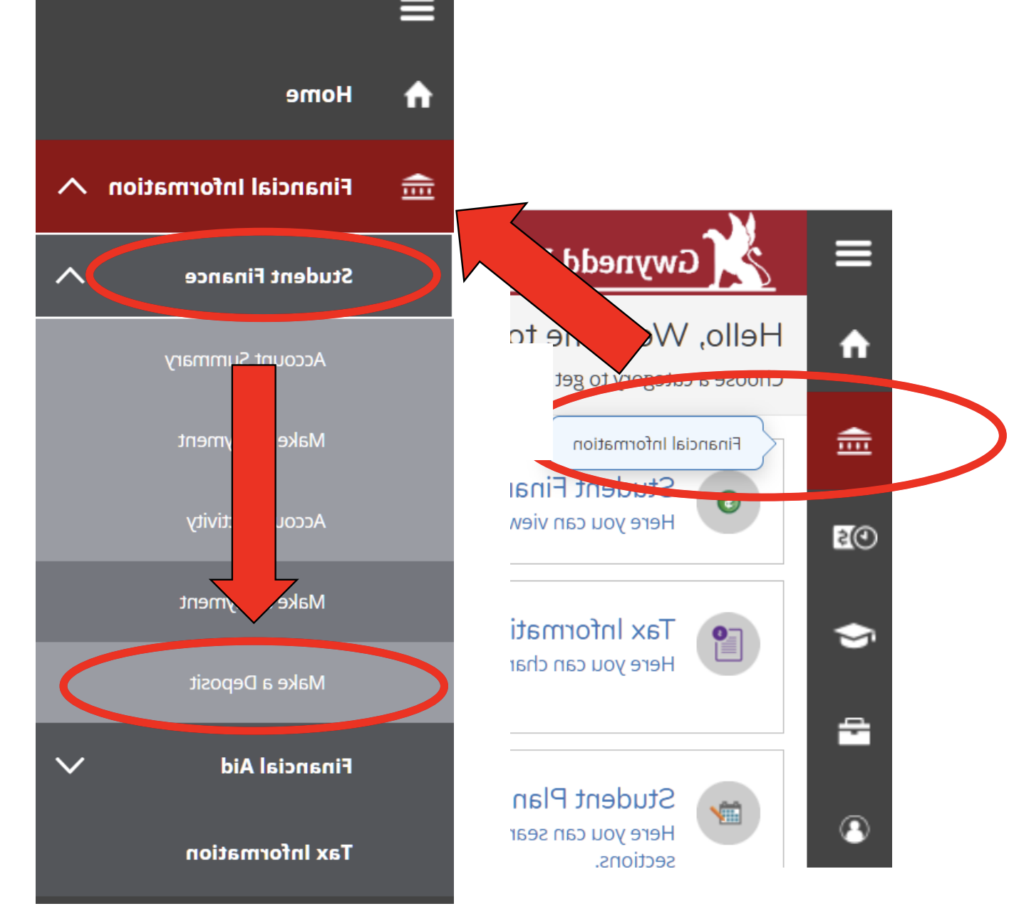 graphic_depositinstructions_step3a.png